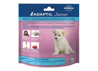 Adaptil junior collare