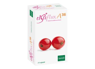 Cistiflux a 36 14 capsule