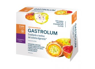 Gastrolum 14 stick da 10 ml