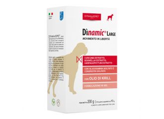 Dinamic large 20 bustine 10 g