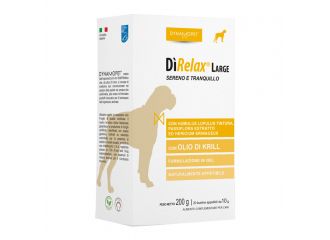 Direlax large 20 bustine 10 g