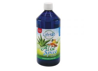 Aloe spice 1000 ml