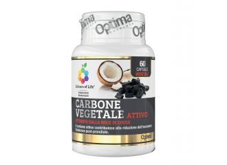 Colours of life carbone vegetale attivo 60 capsule vegetali 430 mg