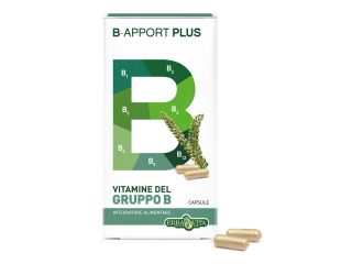 B-apport plus 45 capsule