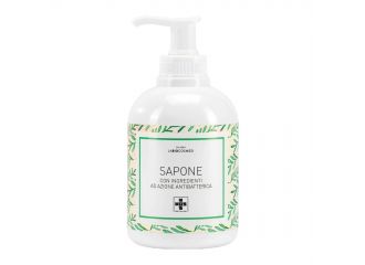 Sapone liquido azione antibatterica 300 ml