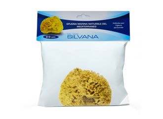 Silvana spugna natureale del mediterraneo 8-9cm