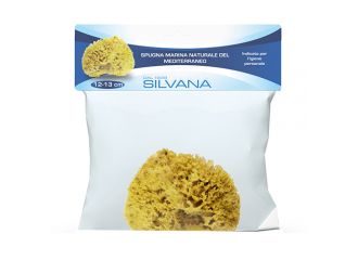 Silvana spugna natureal 12-13 cm