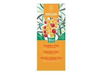 Olivello spinoso vital succo di frutta 250 ml