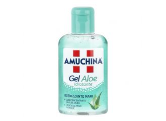 Amuchina gel aloe 80 ml