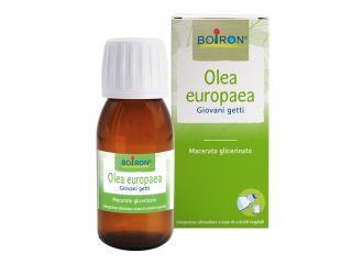 Olea europaea macerato glicerico 60 ml int