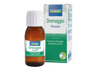 Pilosella estratto idroalcolico 60 ml
