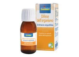 Echinacea angustifolia estratto idroalcolico 60 ml int