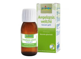 Ampelopsis weitchii macerato glicerico 60 ml int