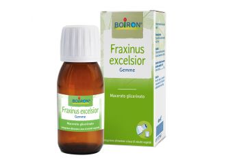 Fraxinus excelsior macerato glicerico 60 ml int