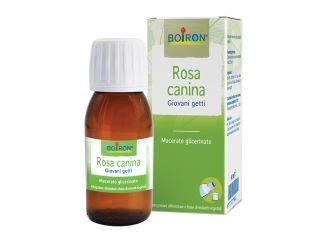 Rosa canina macerato glicerico 60 ml int