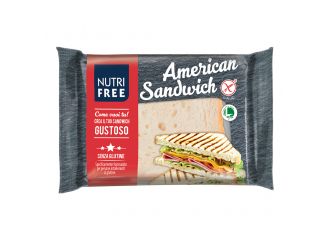 Nutrifree american sandwich 60 g x 4 pezzi
