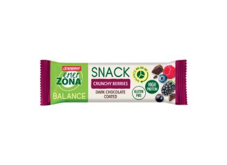 Enerzona snack crunchy berries 33 g