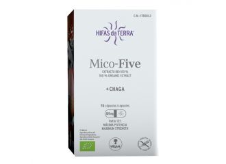 Micofive chaga 70 capsule