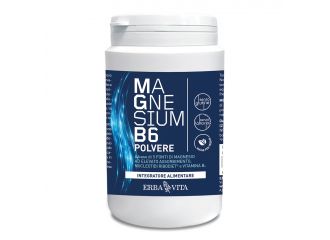 Magnesium b6 polvere 200 g