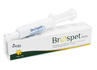 Brospet pasta 20 g