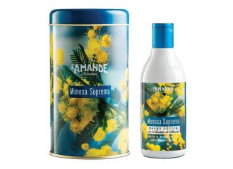 L'amande mimosa suprema boite metallica cilindrica bagnodoccia 250 ml
