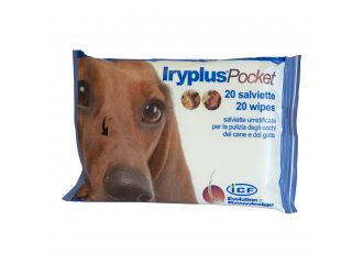 Iryplus pocket salviettine 20 pezzi