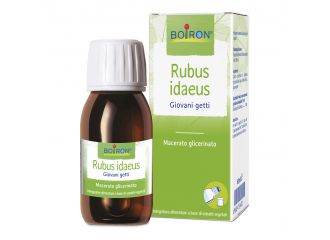 Rubus idaeus giovani getti estratto idroalcolico 60 ml