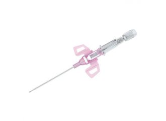 Ago cannula gauge 20 1 1/4 pollice 50 pezzi