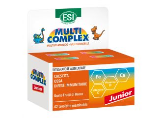 Esi multicomplex junior 42 dinosauri