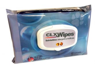 Clx wipes 40 salviette