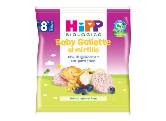 Hipp bio baby gallette di riso al mirtillo 30 g