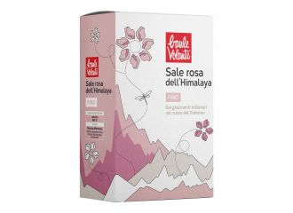 Baule volante sale rosa dell'himalaya fino 1000 g