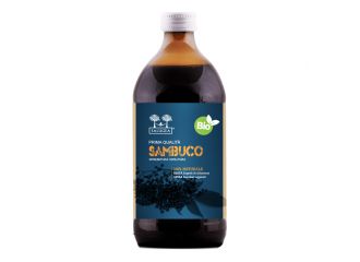 Salugea succo sambuco bio 500 ml