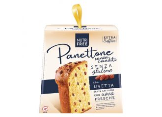 Nutrifree panettone senza canditi 600 g