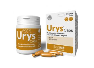 Urys caps 30 capsule