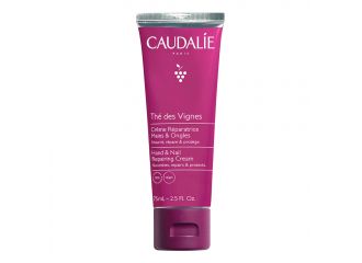 The des vignes crema mani & unghie 75 ml 2022