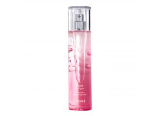 Rose de vigne acqua fresca 50 ml 2022