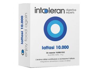 Intoleran lattasi 10000 36 capsule