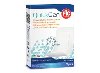 Cerotto pic cicatrizzante 10 x 7,5 cm 5 pezzi