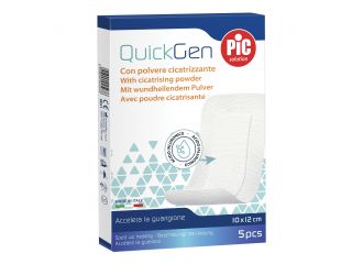Cerotto pic cicatrizzante 10 x 12 cm 5 pezzi