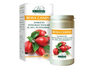 Rosa canina estratto integrale titolato polvere 100 g