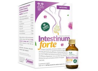 Salugea intestinum forte 18 flaconcini da 10 ml