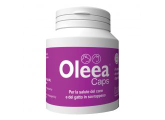 Oleea caps 60 capsule