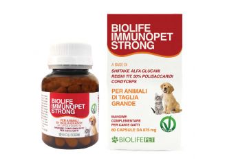 Biolife immunopet strong 60 capsule