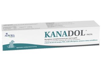 Kanadol pasta 30 g