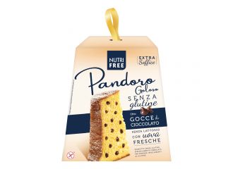 Nutrifree pandoro goloso 600 g