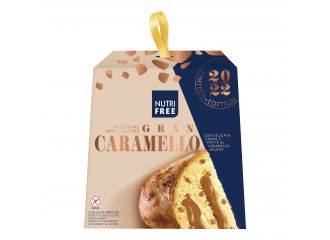 Nutrifree panettone gran caramello 680 g