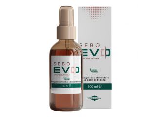 Sebo evo spray 100 ml