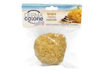 Dermacotone spugna marina