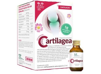 Cartilagea salugea 18 flaconcini da 12 ml